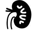 Kidney Profile-1