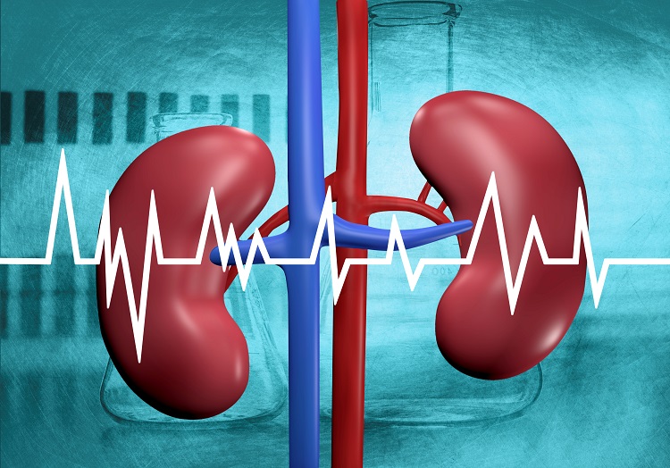 Renal DTPA Scan in Chandigarh